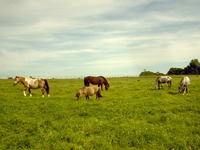 centre de randonnée LA ROSE DES VENTS